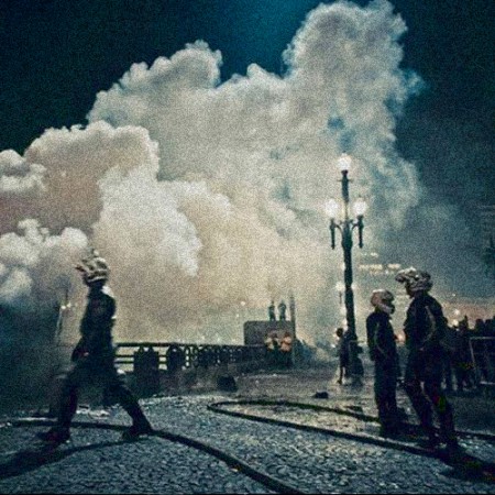 Carlos Eduardo Martins: A Primavera brasileira